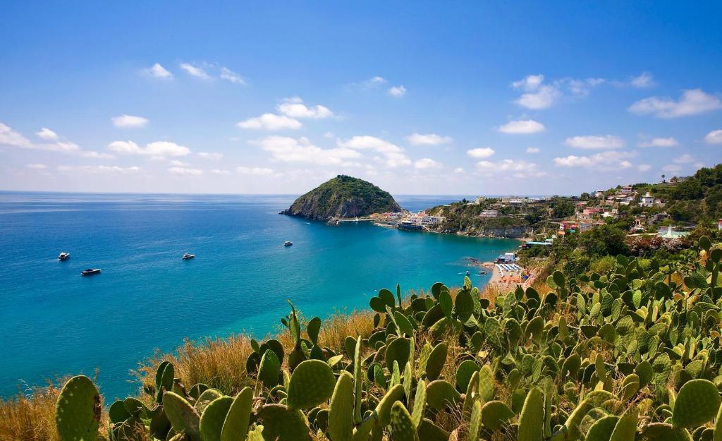 Hotel Vittorio Beach Resort Barano dʼIschia Exterior foto